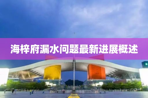 海梓府漏水问题最新进展概述