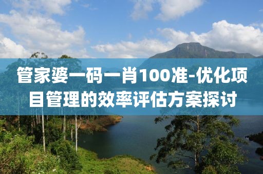 管家婆一码一肖100准-优化项目管理的效率评估方案探讨