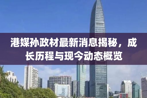 港媒孙政材最新消息揭秘，成长历程与现今动态概览