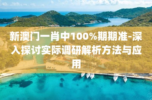 新澳门一肖中100%期期准-深入探讨实际调研解析方法与应用