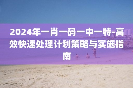 2024年一肖一码一中一特-高效快速处理计划策略与实施指南