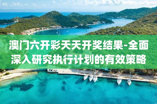 澳门六开彩天天开奖结果-全面深入研究执行计划的有效策略