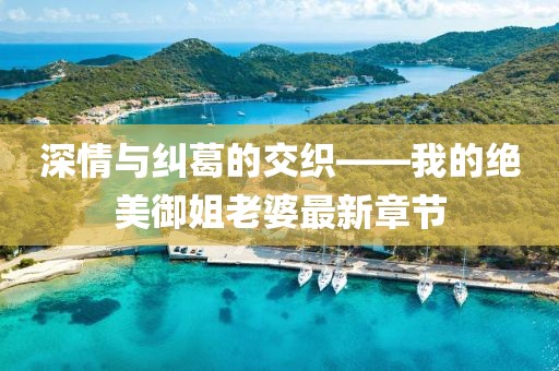 深情与纠葛的交织——我的绝美御姐老婆最新章节