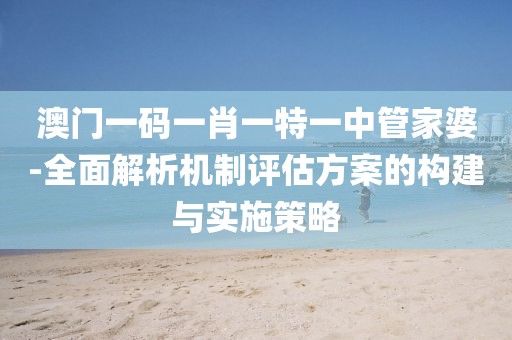 澳门一码一肖一特一中管家婆-全面解析机制评估方案的构建与实施策略
