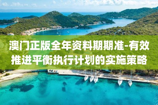 澳门正版全年资料期期准-有效推进平衡执行计划的实施策略