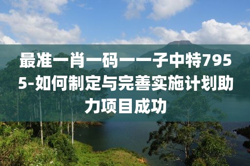 最准一肖一码一一子中特7955-如何制定与完善实施计划助力项目成功