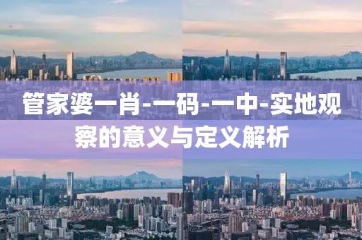 管家婆一肖-一码-一中-实地观察的意义与定义解析