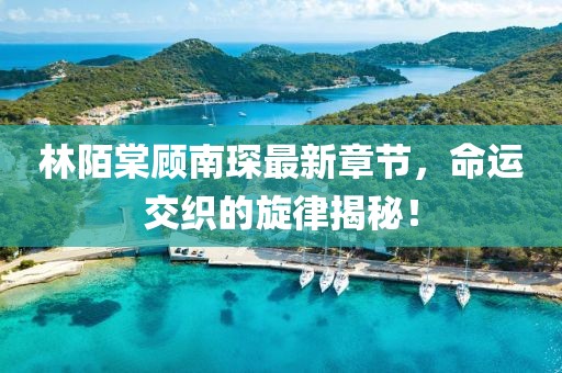 林陌棠顾南琛最新章节，命运交织的旋律揭秘！