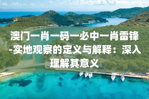 澳门一肖一码一必中一肖雷锋-实地观察的定义与解释：深入理解其意义