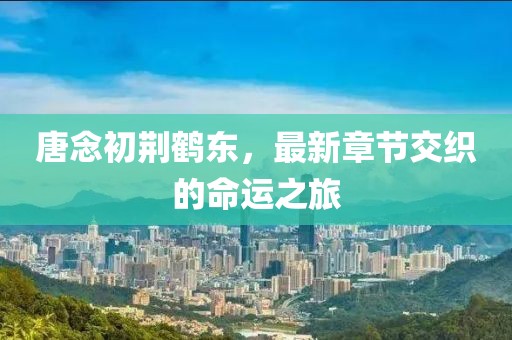 唐念初荆鹤东，最新章节交织的命运之旅
