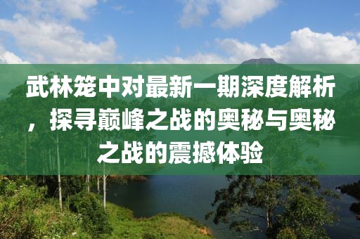 武林笼中对最新一期深度解析，探寻巅峰之战的奥秘与奥秘之战的震撼体验