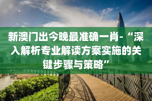 新澳门出今晚最准确一肖-“深入解析专业解读方案实施的关键步骤与策略”