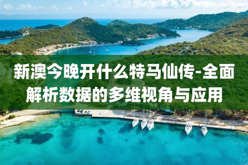新澳今晚开什么特马仙传-全面解析数据的多维视角与应用