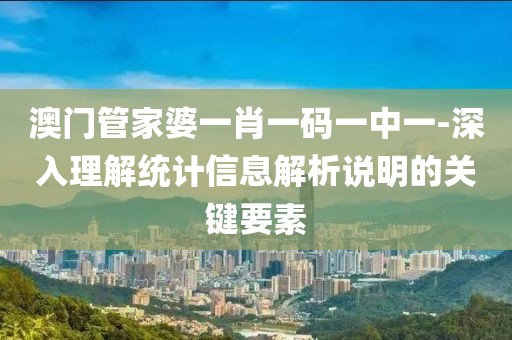 澳门管家婆一肖一码一中一-深入理解统计信息解析说明的关键要素