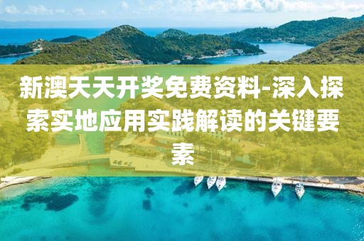 新澳天天开奖免费资料-深入探索实地应用实践解读的关键要素