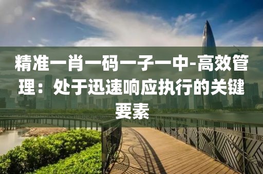 精准一肖一码一子一中-高效管理：处于迅速响应执行的关键要素