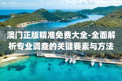 澳门正版精准免费大全-全面解析专业调查的关键要素与方法