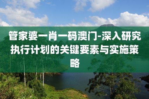 管家婆一肖一码澳门-深入研究执行计划的关键要素与实施策略