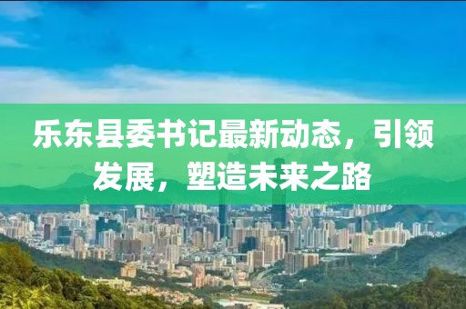 乐东县委书记最新动态，引领发展，塑造未来之路