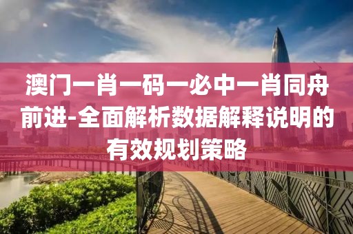 澳门一肖一码一必中一肖同舟前进-全面解析数据解释说明的有效规划策略