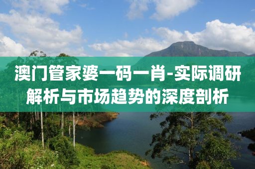 澳门管家婆一码一肖-实际调研解析与市场趋势的深度剖析