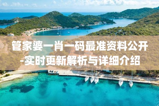 管家婆一肖一码最准资料公开-实时更新解析与详细介绍