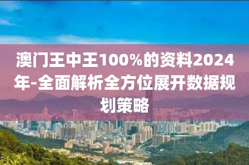 澳门王中王100%的资料2024年-全面解析全方位展开数据规划策略