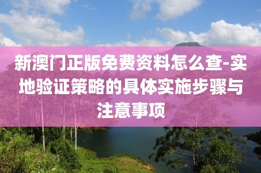 新澳门正版免费资料怎么查-实地验证策略的具体实施步骤与注意事项