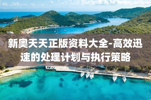 新奥天天正版资料大全-高效迅速的处理计划与执行策略
