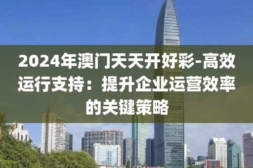 2024年澳门天天开好彩-高效运行支持：提升企业运营效率的关键策略