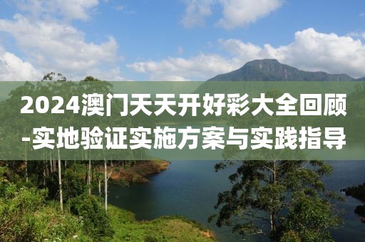 2024澳门天天开好彩大全回顾-实地验证实施方案与实践指导