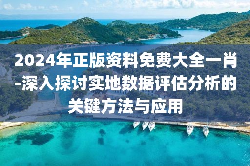 2024年正版资料免费大全一肖-深入探讨实地数据评估分析的关键方法与应用