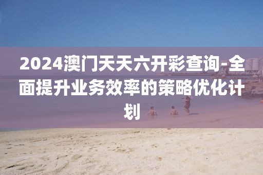 2024澳门天天六开彩查询-全面提升业务效率的策略优化计划