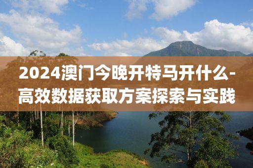 2024澳门今晚开特马开什么-高效数据获取方案探索与实践