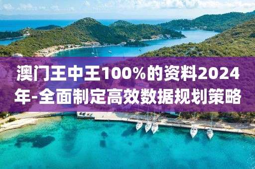 澳门王中王100%的资料2024年-全面制定高效数据规划策略