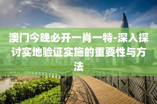 澳门今晚必开一肖一特-深入探讨实地验证实施的重要性与方法