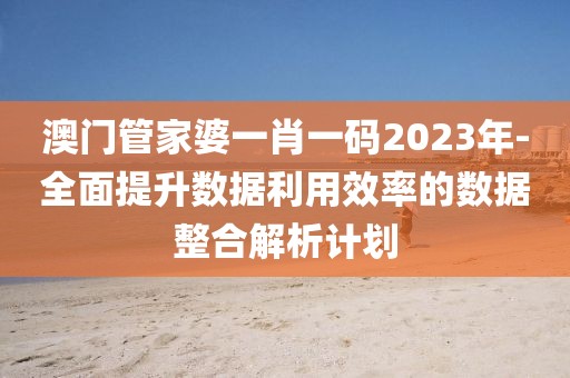 澳门管家婆一肖一码2023年-全面提升数据利用效率的数据整合解析计划