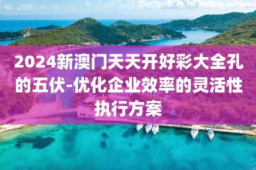 2024新澳门天天开好彩大全孔的五伏-优化企业效率的灵活性执行方案
