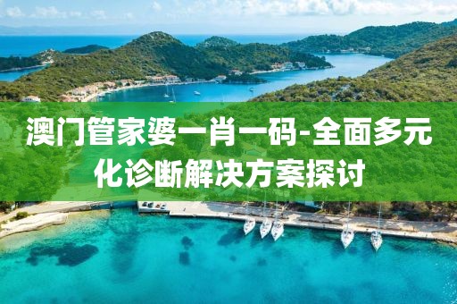 澳门管家婆一肖一码-全面多元化诊断解决方案探讨