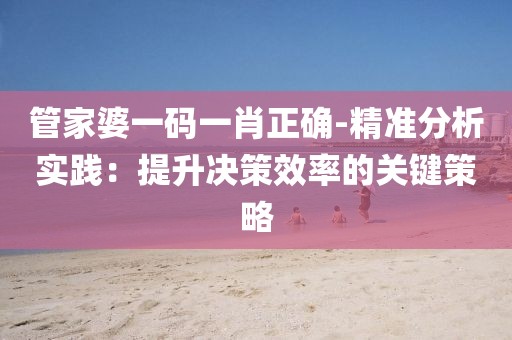 管家婆一码一肖正确-精准分析实践：提升决策效率的关键策略