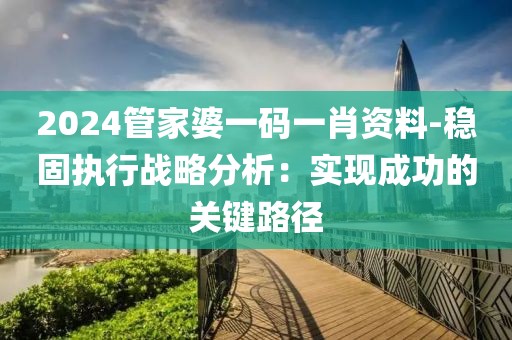 2024管家婆一码一肖资料-稳固执行战略分析：实现成功的关键路径