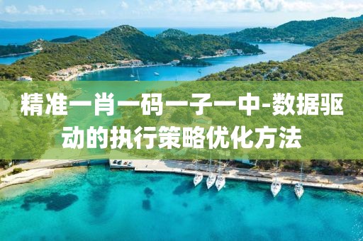 精准一肖一码一子一中-数据驱动的执行策略优化方法