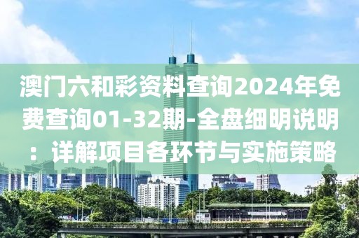 澳门六和彩资料查询2024年免费查询01-32期-全盘细明说明：详解项目各环节与实施策略