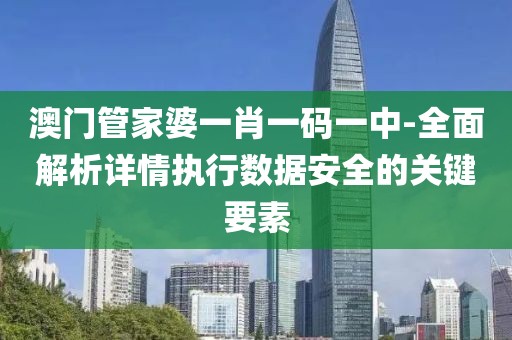 澳门管家婆一肖一码一中-全面解析详情执行数据安全的关键要素