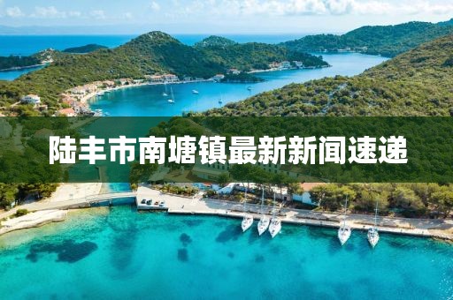 陆丰市南塘镇最新新闻速递
