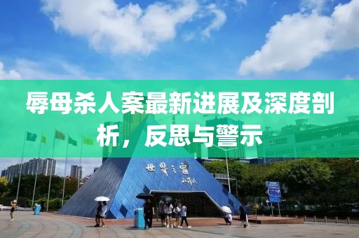 辱母杀人案最新进展及深度剖析，反思与警示