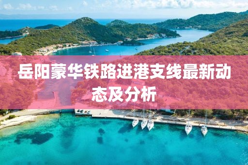 岳阳蒙华铁路进港支线最新动态及分析