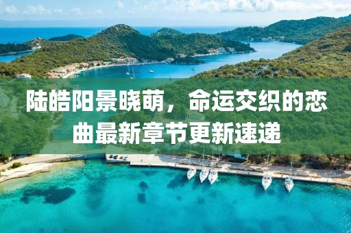 陆皓阳景晓萌，命运交织的恋曲最新章节更新速递