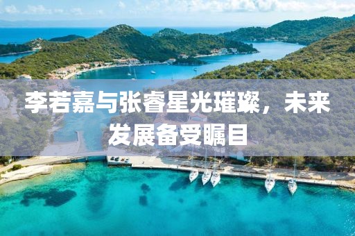 李若嘉与张睿星光璀璨，未来发展备受瞩目