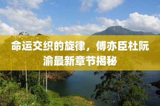 命运交织的旋律，傅亦臣杜阮渝最新章节揭秘